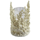 Decorative coral hurricane lantern with clear glass for pillar candles