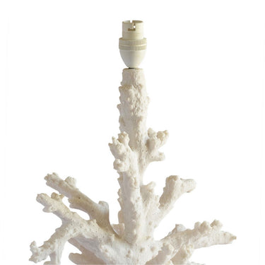 Top view of the White Coral Lamp Base branching details and bulb socket layout.