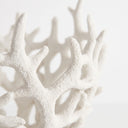 Large white decorative coralline bowl with an open white textured branching pattern.