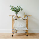 parisian drinks trolley styled with eucalyptus and bottles