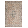 Esme vintage-style area rug with an ornate medallion pattern in muted beige, gray, and soft blue tones.