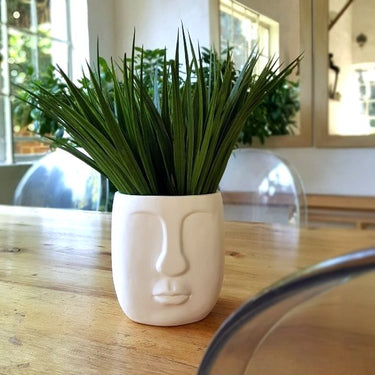 Ceramic face planter with plant on wood table.