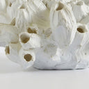 White barnacle decoration with multiple textured barnacles.