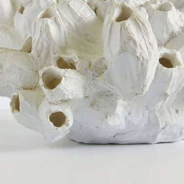 White barnacle decoration with multiple textured barnacles.