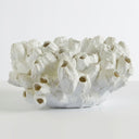 White barnacle decoration with multiple textured barnacles.
