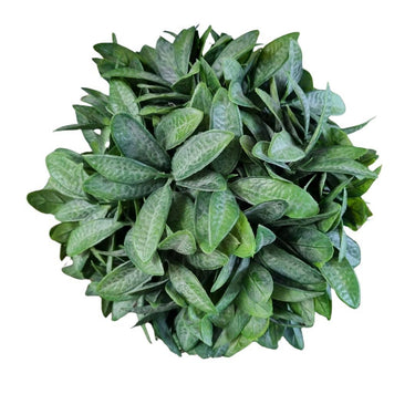 faux green leaf topiary ball