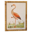 Framed picture of a flamingo in natural rattan frame wall art