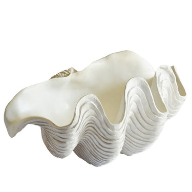 large clam shell home decor 