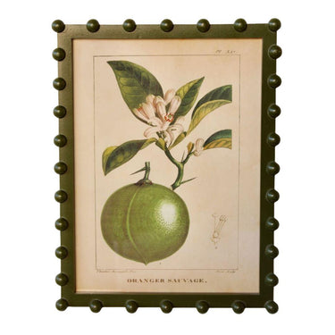 wall decor with fruit artwork in a green bobble frame