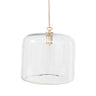 Clear glass dome pendant light with a brass metal fixture and hanging cord.