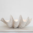 Oversized clam shell bowl styled as a standalone minimalist centerpiece