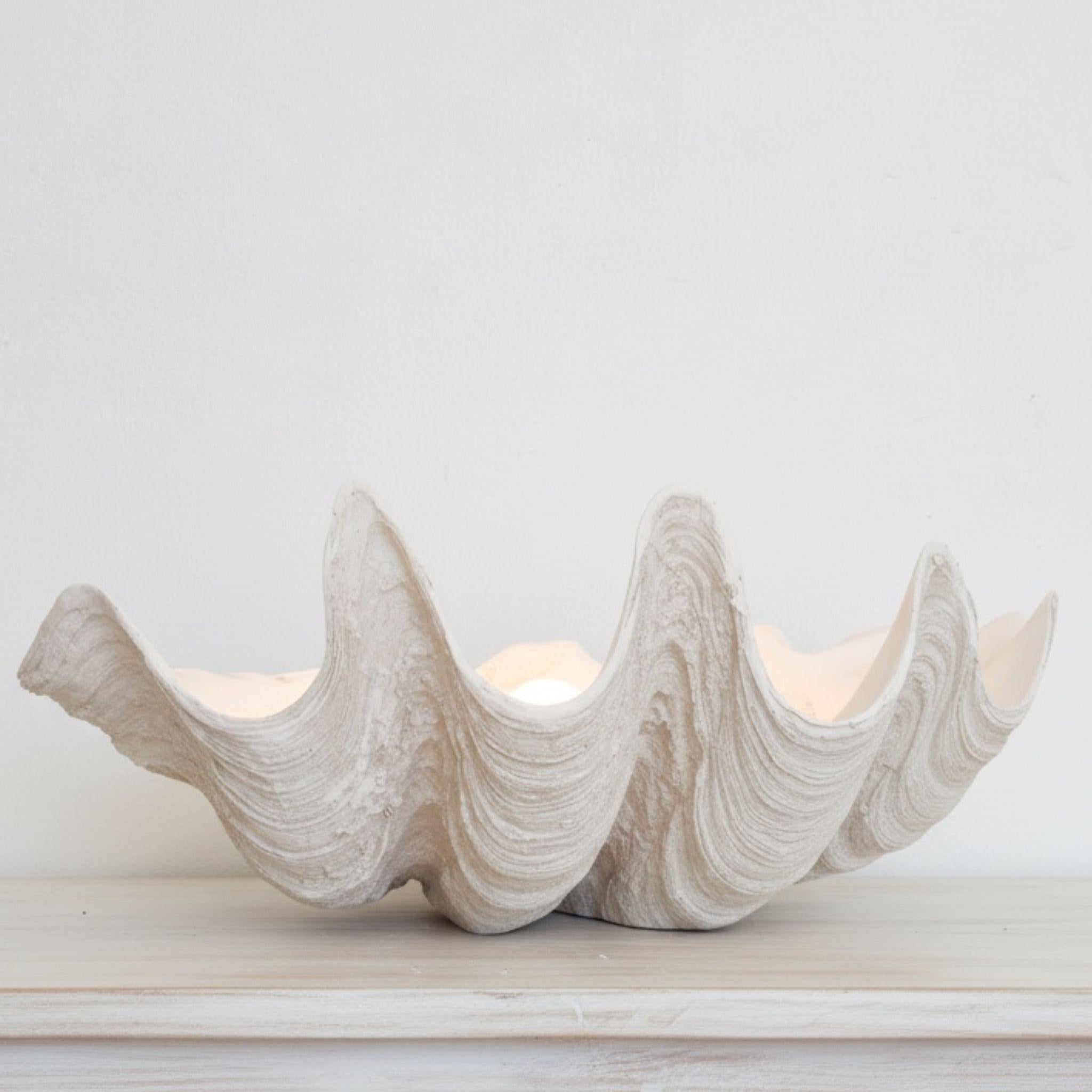 Oversized clam shell bowl styled as a standalone minimalist centerpiece