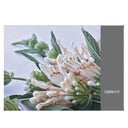  wild flower disposable paper placemats pack 25