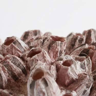 Pink barnacle decor cluster.