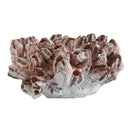 Decorative pink barnacle decor.