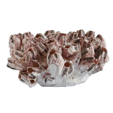 Decorative pink barnacle decor.