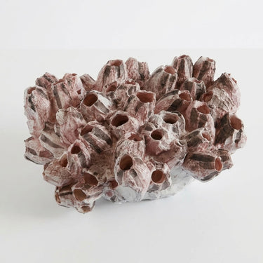 Pink barnacle decor top.