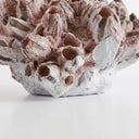 Decorative pink barnacle decor base.