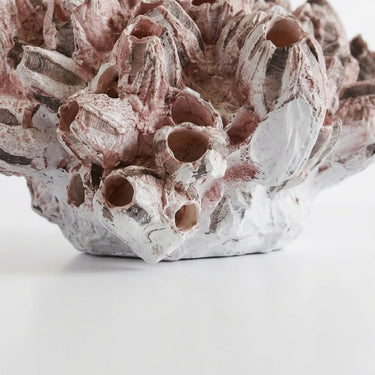 Decorative pink barnacle decor base.