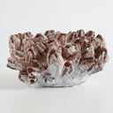 Decorative pink barnacle decor.