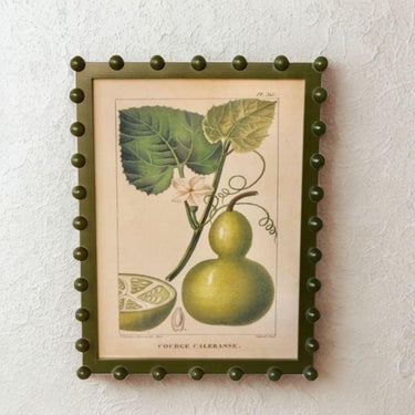 Framed vintage calebasse bottle gourd botanical print in an olive green bobble frame.