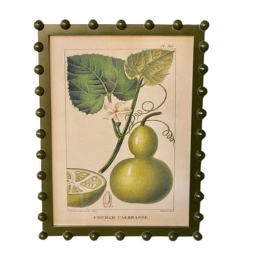 Framed vintage calebasse bottle gourd botanical print in an olive green bobble frame.