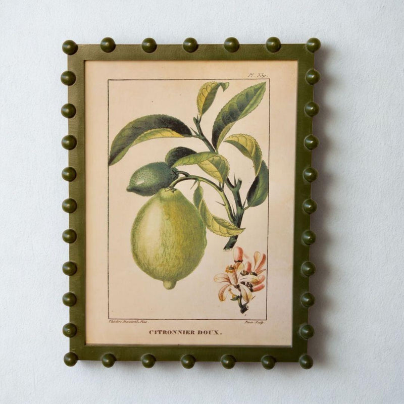 Framed vintage lemon fruit botanical art print in an olive green bobble frame.