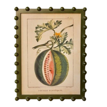 Framed vintage watermelon botanical illustration print in an olive green bobble frame.