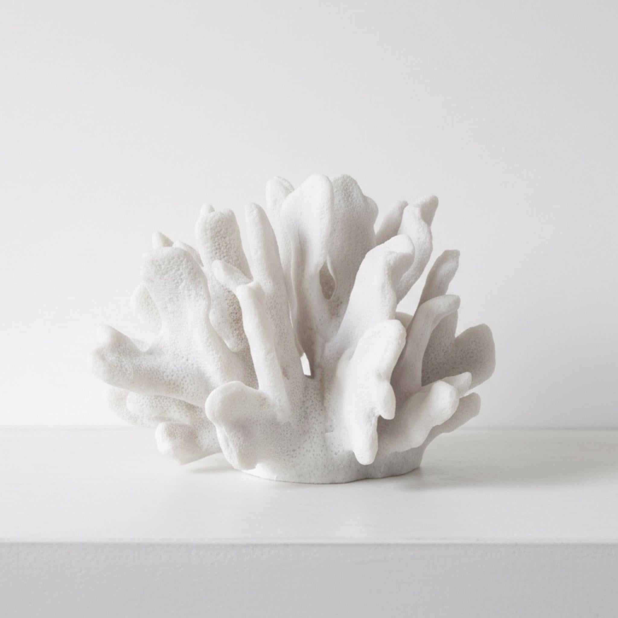 Minimalist white coral decor styled on a clean table surface for a sophisticated, ocean-inspired interior.