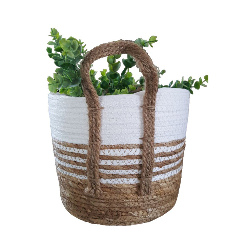 white and natural basket with handles for indoor plant