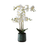 Artificial orchid with realistic stem and white flowers