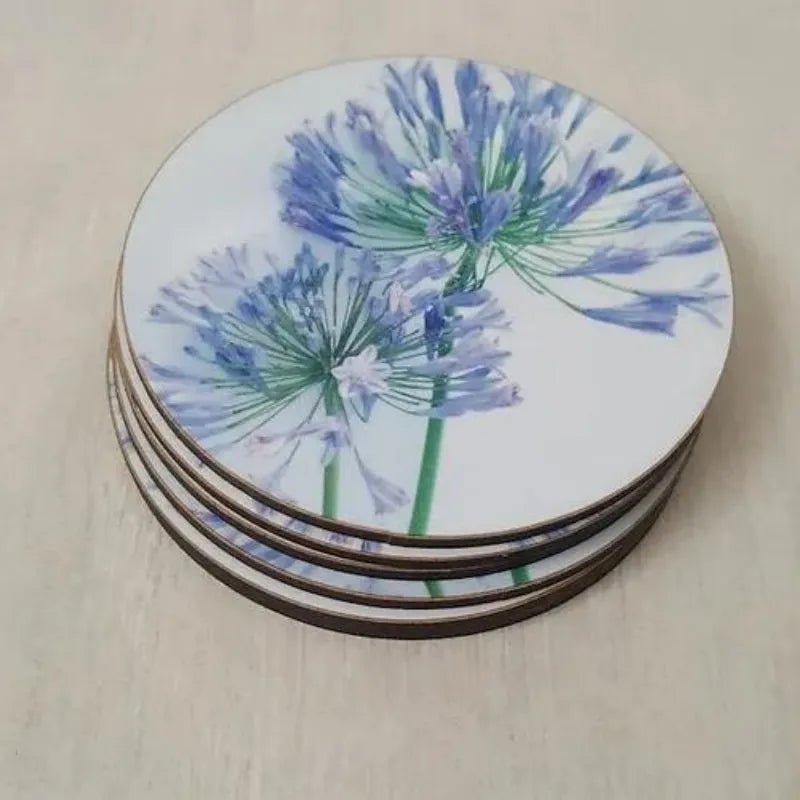 Coasters Set of 6 Agapanthus