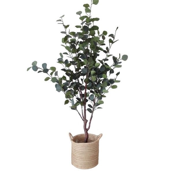 Artificial Eucalyptus Tree Potted in basket