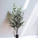 Artificial Eucalyptus Tree Potted with sun rays