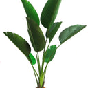 Artificial Tree  Strelizia 120cm