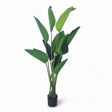 Artificial Tree  Strelizia 155cm